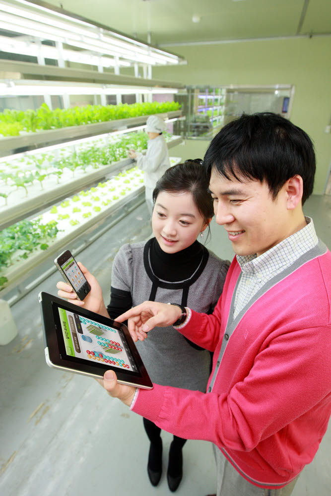 KT는 스마트폰이나 스마트패드로 재배환경과 작물상태를 원격 관리할 수 있는 애플리케이션 `올레 스마트 팜`을 개발했다. 사용자가 농가 시설에서 스마트단말기로 재배환경을 확인하고 있다.  