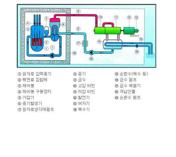 [기획/일본대지진]일본 원전과 한국 원전의 차이
