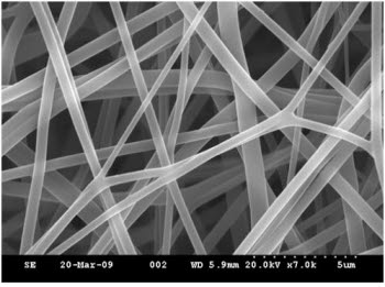 PVA 나노섬유  주사전자현미경(SEM) 사진