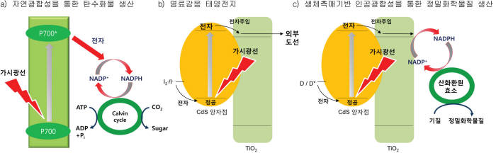 태양전지 소재 이용 인공광합성 기술 개발