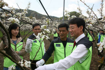 Photo Image