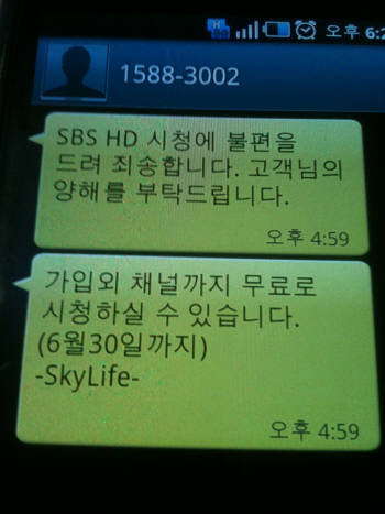 SBS-KT스카이라이프 분쟁, 시청자에 소극적 보상