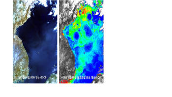 천리안 해양환경 분석시스템으로 분석한 동해 지역 해수 엽록소농도 분포 사진.
 