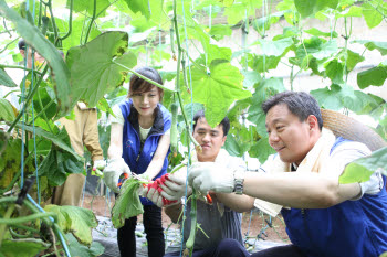 고순동 삼성SDS  사장(오른쪽)이 30일 경기도 파주에 위치한 
 교남어유지동산에서 지적장애인, 봉사리더와 
 오이, 토마토 등 야채를 수확하는 모습. 
 
 