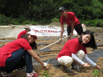 KT IT서포터즈 대구팀이 오는 22일까지 대학생봉사단 9명을 선발해 농촌봉사활동을 펼치고 있다. 이들 대학생봉사단원은 다문화 여성들을 대상으로 스마트폰 교육을 진행하고, 경북 고령의 한 농가를 방문해 깨 심기와 벼농사 일손을 도왔다.  