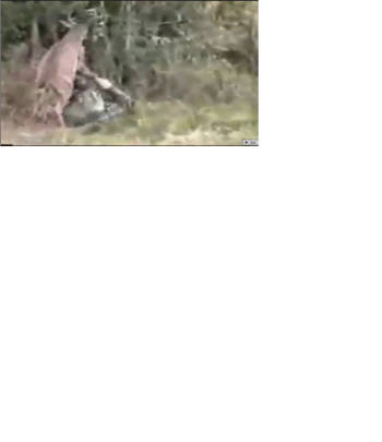 [이슈인채널]법정에서 판사를 공격하는 여성