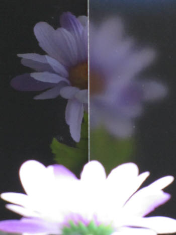 Photo Image