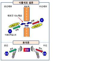 [사이언스] 샤페로닌