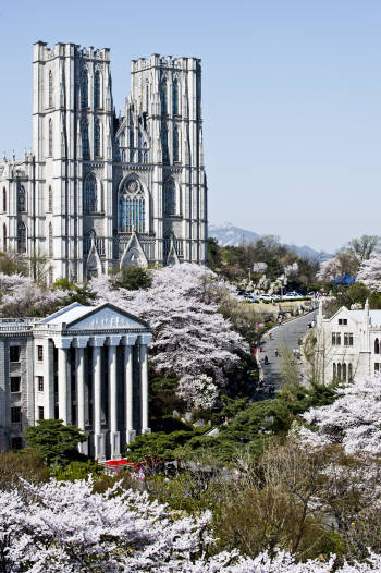 [평생교육시대, 명품 사이버대학]경희사이버대학교