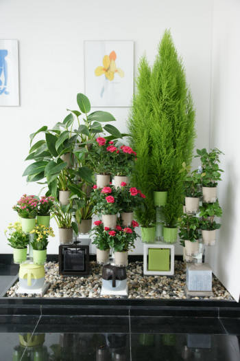 Photo Image