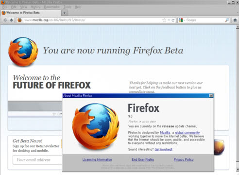모질라의 파이어폭스 9.0 베타 버전이 발표되었다.