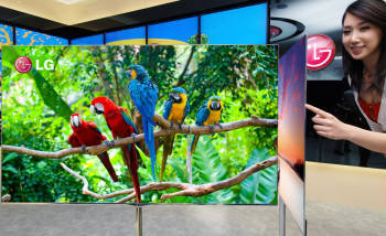 LG전자의 55인치 OLED TV.