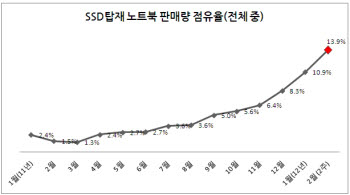 국내 SSD 시장 2년만에 10배 성장