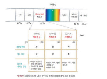 자외선의 종류 <자료 : 식품의약품안전청>