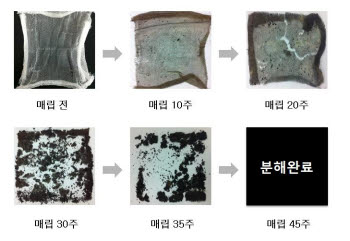 웅진케미칼, 45주 완전분해 폴리에스터 개발