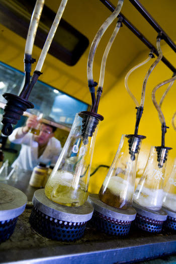 금호석유화학 울산고무공장.