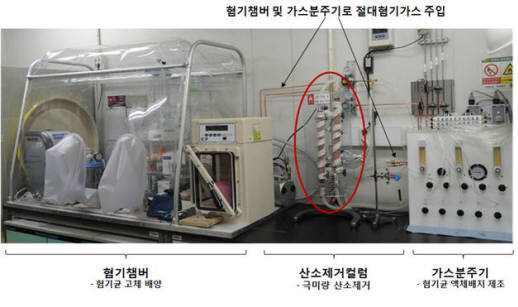 산소를 제거하는데 쓰이는 극한미생물 배양 시스템.