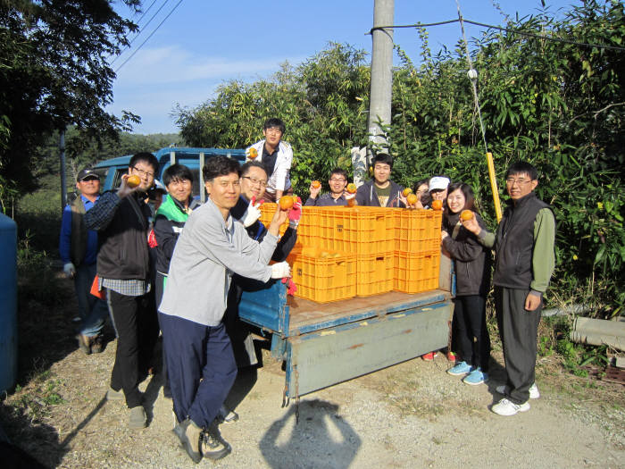 산단공 동남권본부는 2일 경남 창원 고양마을에서 감수확 봉사활동을 벌였다.