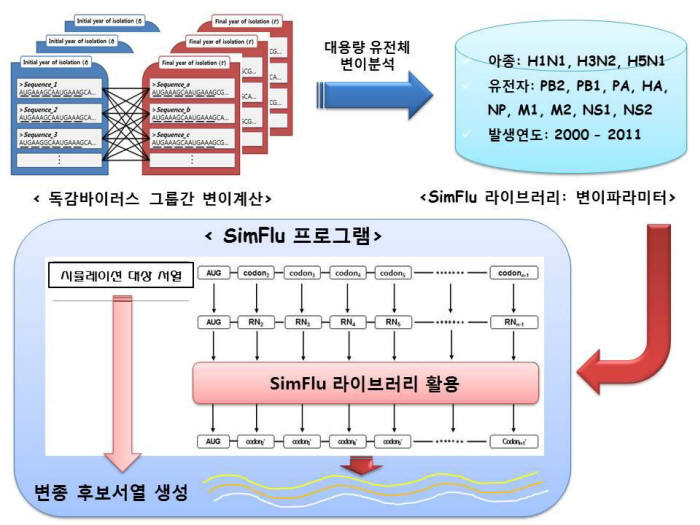 <심플루 프로그램 시뮬레이션 모식도>