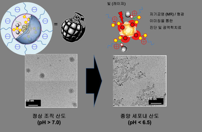 종양 진단·치료 동시 가능한 ‘나노수류탄’ 세계 최초 개발