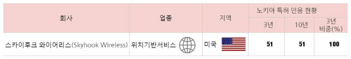 노키아 특허 의존도가 높은 스카이후크 와이어리스