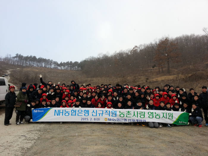 농협은행 신규직원, 농촌일손돕기 구슬땀