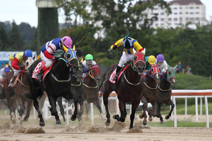 경마, 산지통합 경주 시행결과 국산마 5위 내 입상률 53%로 외산마보다 우위