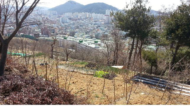 자연마당 조성지로 선정된 광주 월산동.