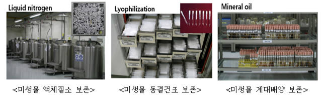 [IP노믹스]특허미생물 `국립농업과학원`에 맡기세요