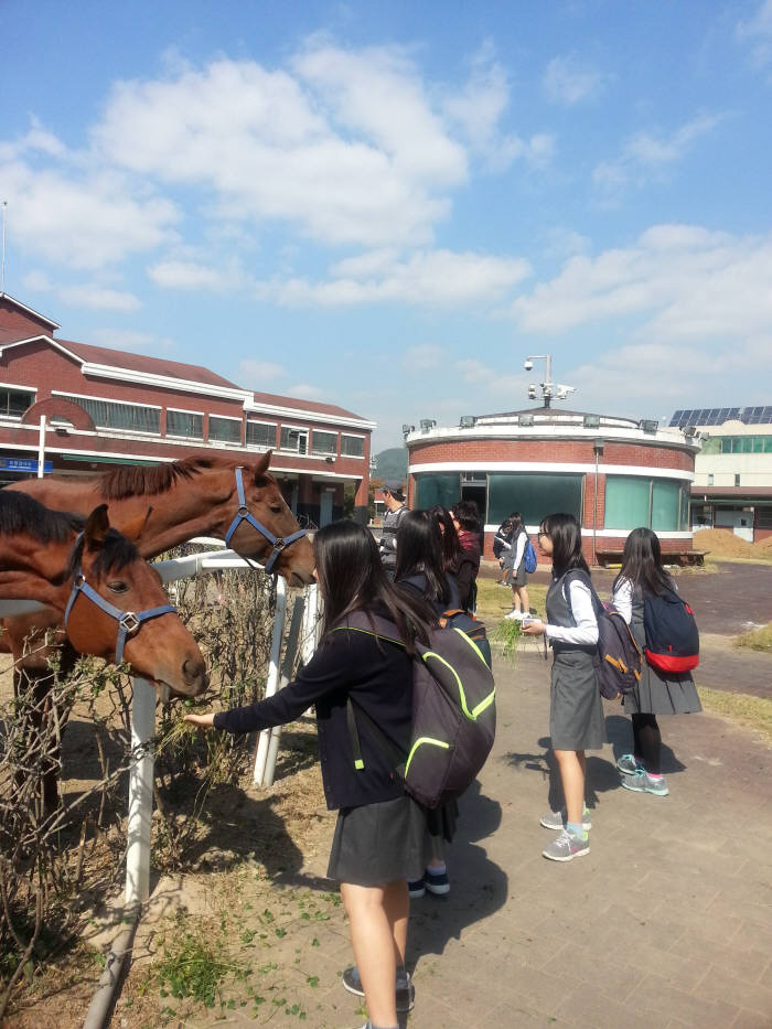 한국마사회, ‘말산업 진로직업 체험’ 프로그램 시행