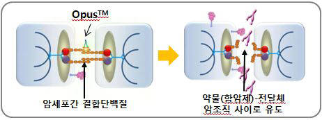 삼양바이오팜, 미 컴플리먼트사로부터 종양 침투촉진 기술 도입