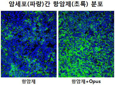 삼양바이오팜, 미 컴플리먼트사로부터 종양 침투촉진 기술 도입