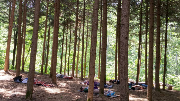 서울대공원 산림치유숲 `나무이완숲-쉼명상` <서울특별시 제공>