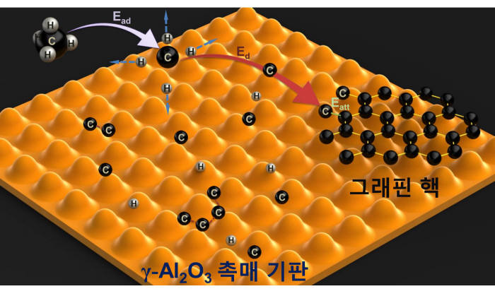 개발된 γ-Al2O3 촉매 기판 위에 탄소 전구체로부터 그래핀 핵이 형성되는 과정을 그린 모식도