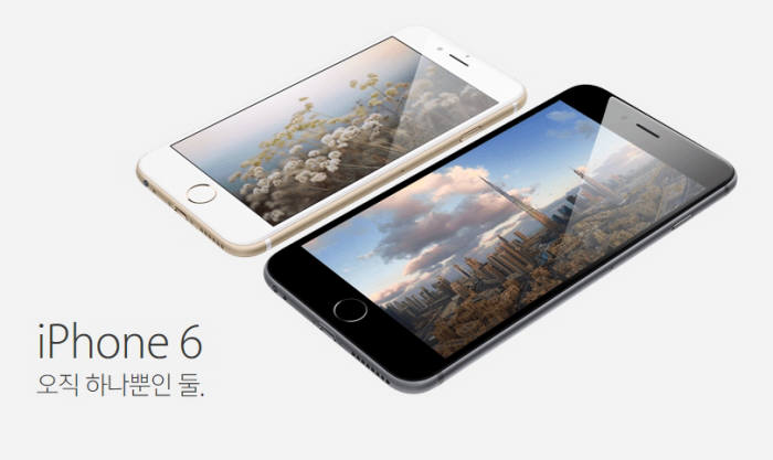 애플이 매출과 순이익 모두 성장한 3분기(4~6월) 실적을 발표했다. 중국 시장에서 고공행진을 이어간 것이 실적 향상의 주 요인으로 꼽혔다. 아이폰6와 아이폰6플러스 사진.