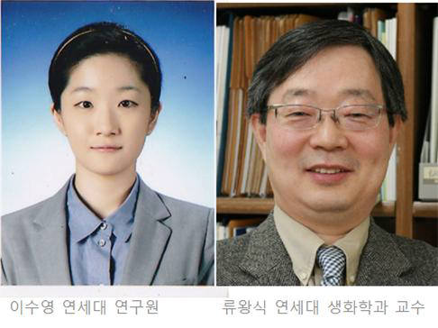 국내 연구진, B형 간염바이러스 간암 유발 기전 규명