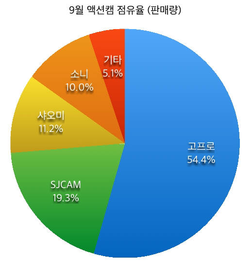 판매량 기준 액션캠 시장점유율