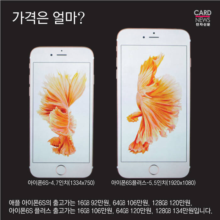 [카드뉴스]‘아이폰6S’ 이것만은 알고 사세요