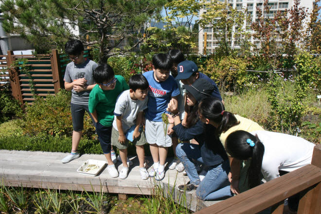 한국도시녹화가 시공한 인공습지에서 생태계 교육을 진행하는 모습.