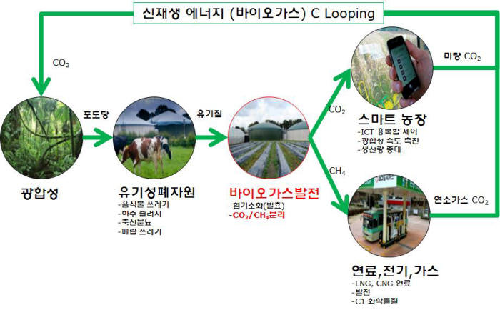 바이오 에너지 이용 탄소 순환도.