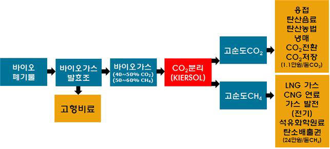 홍성 바이오-CCS 공정 융합도 및 예상 결과물