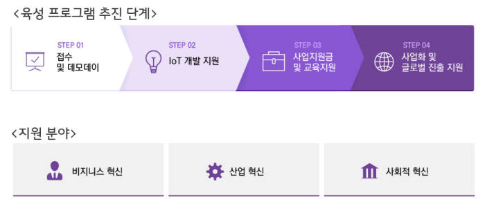 IoT 스타트업 글로벌 육성 프로그램 추진 단계