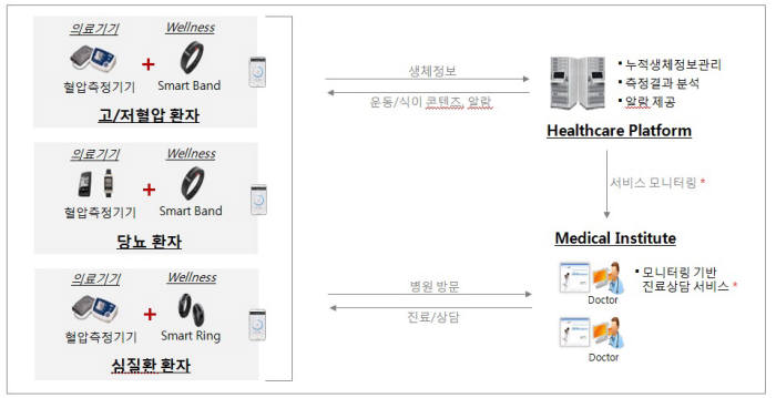 만성질환자 실증서비스 개념도.