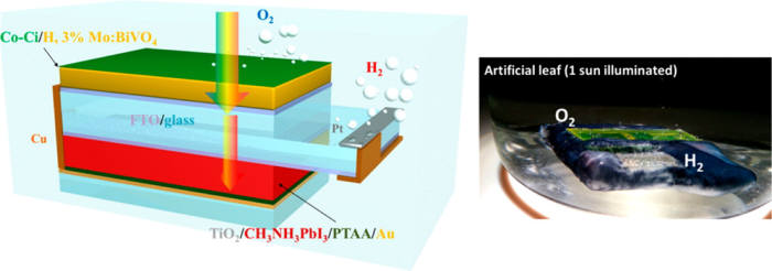 인공나뭇잎 구조(왼쪽)와 물 속에서 수소를 생산하는 장면