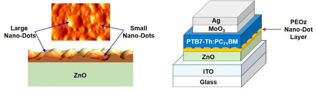 왼쪽은 금속산화물 (ZnO) 위에 형성된 고분자 나노점, 오른쪽은 고분자 나노점이 형성된 역구조 유기태양전지 소자 모식도