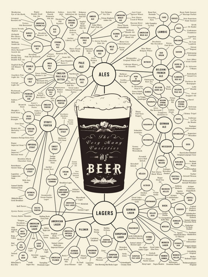 에일 맥주와 라거 맥주를 중심으로 다양하게 발전한 맥주계통도
