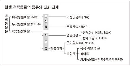 척색동물 종류와 진화단계