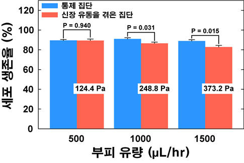 그래프는 각 유량별로 신장유동을 격지 않은 통제집단(파란색 바)과 신장유동을 겪은 집단(빨간색 바)의 세포 생존율(cell viability)이 나타나 있으며, 또한 유량에 따fms 신장응력 값이 표기되어 있다. 통제집단과 실험집단의 유의미한 차이가 있는지 확인하기위해 student-t test를 시행하였다. 이 결과로 실험에서 사용된 CHO cell의 경우 약 250Pa이상에서 손상을 받음을 알 수 있다.