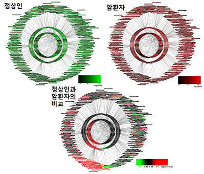 정상인과 암환자 혈액에서 유래한 당단백질 정성,정량 분석 결과다.