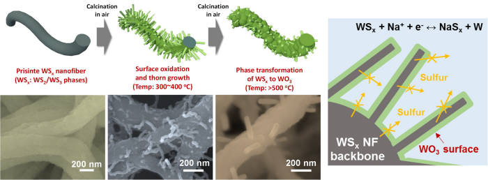 가시덤불형태의 황화텅스텐-황화산화물 나노섬유 복합소재 합성개략도(왼쪽)와 나트륨배터리 전극으로의 작동원리 개념도(오른쪽)